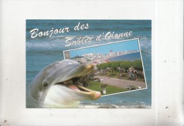 BT9415 Animals Animaux Dolphin Dauphin - Dolphins