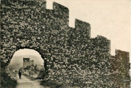 CPSM Rochemaure-Vue Sur Le Mur Crénélé De L'enceinte   L1340 - Rochemaure