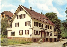 MURGTAL - Luftkurort Langenbrand - Gasthaus - Pension Murgtäler Hof - W-2 - Forbach