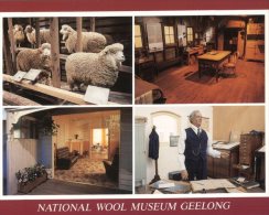 (510) Australia - VIC - Wool Museum In Geelong - Geelong