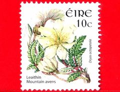 IRLANDA - Usato - 2005 - Fiori Selvatici - Camedrio Alpino - Flowers - Fleurs - Blumen - Dryas Octopetala - 10 - Used Stamps