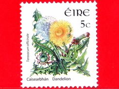 IRLANDA - Usato - 2004 - Fiori Selvatici - Tarassaco Comune - Flowers - Fleurs - Blumen - Taraxacum Officinale - 5 - Gebruikt