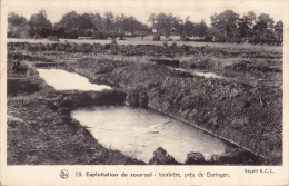 Beringen.-  Tourbière, Près De Beringen - Beringen