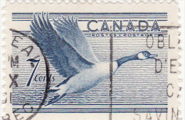 1952 Canada - Oca Migratoria - Altri & Non Classificati