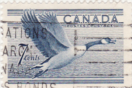 1952 Canada - Oca Migratoria - Oche