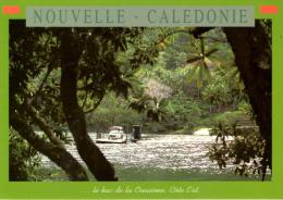 NOUVELLE CALEDONIE : Le Bac De La Ouaième, Côté Est - New Caledonia