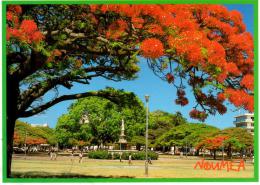 NOUVELLE CALEDONIE : Nouméa - La Fontaine Céleste - New Caledonia