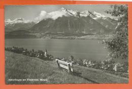 HA024, Hilterfingen Am Thunersee, Niesen,  Circulée 1951 - Hilterfingen