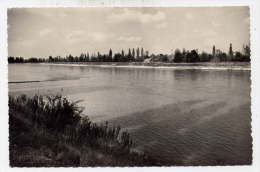 K24 - FESSENHEIM - Le Rhin (1953) - Fessenheim