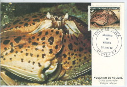 Nouvelle Caledonie Crabe Ouvre-boîte Carte Maximum 1982 New Caledonia Crab Maxicard - Crustaceans