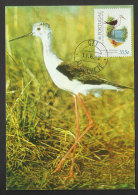 Portugal Oiseau Échasse Blanche Carte Maximum 1982 Black-winged Stilt Bird Maxicard - Tarjetas – Máximo