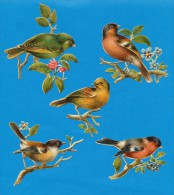 DECOUPIS  ANCIENS GAUFRE, LOT 5 , OISEAUX SUR LA BRANCHE, TRE BON ETAT,  PLUS GRANDE Ca 8.5 X 10 Cm - Animals