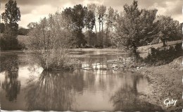 Cpsm Champdeniers Etang De Neufchaise - Champdeniers Saint Denis