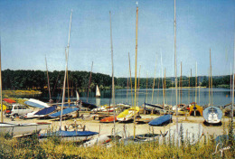 Carte Postale 95. Cergy  L'école De Voile Trés Beau Plan - Cergy Pontoise