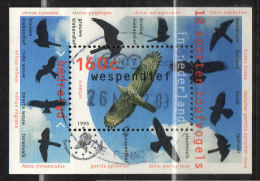 NEDERLAND - 1995  Birds  Block Used - Gebraucht