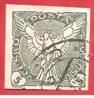 CECOSLOVACCHIA - CESKOSLOVENSKA - USATO - 1919 - Newspaper Stamps - Sokol V Letu  - 5 Heller - Michel CZ 14 - Zeitungsmarken