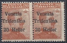 1918 TRENTINO ALTO ADIGE EFFIGIE COPPIA 20 H MNH ** - RR11834-2 - Trento