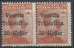 1918 TRENTINO ALTO ADIGE EFFIGIE COPPIA 20 H MNH ** - RR11834-2 - Trente