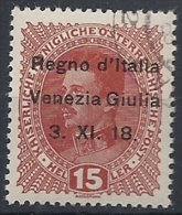 1918 VENEZIA GIULIA USATO 15 H - RR11840 - Venezia Giulia