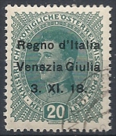 1918 VENEZIA GIULIA USATO 20 H - RR11841 - Venezia Giulia