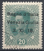 1918 VENEZIA GIULIA USATO 20 H - RR11842 - Venezia Giuliana