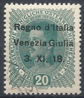 1918 VENEZIA GIULIA USATO 20 H - RR11842 - Venezia Giulia