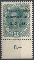 1918 VENEZIA GIULIA USATO 20 H - RR11846-4 - Vénétie Julienne