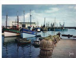 LESCONIL 29 Les Bateaux De Pêche Et Les Casiers Au Port - Lesconil