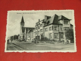 HERSEAUX -  Rue Du Petit-Audenarde - Mouscron - Möskrön