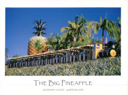 (327) Australia - QLD - Big Pineapple With Sugar Cane Train - Sunshine Coast