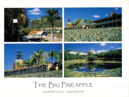 (327) Australia - QLD - Big Pineapple With Sugar Cane Train - Sunshine Coast