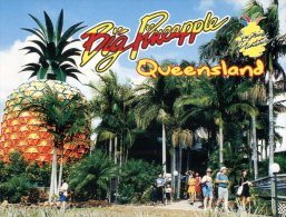 (327) Australia - QLD - Big Pineapple - Sunshine Coast