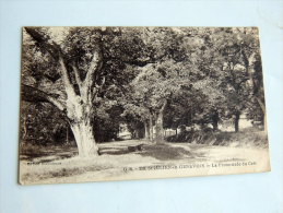 Carte Postale Ancienne : SAINT-JULIEN EN GENEVOIS : La Promenade Du Crêt - Saint-Julien-en-Genevois