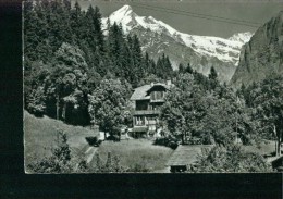 Grindelwald Waldhotel Hotel Bellary Sw 50er - Wald