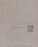 TUNISIE - 1893 - CARTE-LETTRE ENTIER POSTAL NEUVE - ACEP N°CL5 - Brieven En Documenten