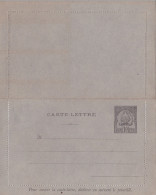 TUNISIE - 1893 - CARTE-LETTRE ENTIER POSTAL NEUVE - ACEP N°CL5 - Storia Postale