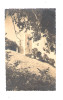 Carte Photo - 80 - BOVES - Les Ruines Du Château - N°40 - éditions PHOTO-COMPTOIR Amiens - Boves