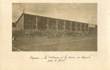 COGNAC (16) Carte Photo Tribunes Revue De Départ Pour Le Front Guerre 1914-1918 - Cognac