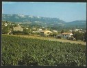 LA BOUILLADISSE Au Travers Des Vignes Vue Partielle 1981 - La Bouilladisse