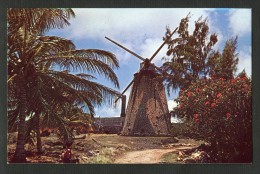 Barbades - West Indies - Morgan Lewis - Moulin - Windmill - Barbades