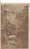 Carte Postale Photo Militaire Allemand --Sous-Terrain- Tranchée-Tunnel- ARGONNEN-ARGONNE (Meuse-Ardennes) - Weltkrieg 1914-18