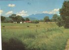 (615) Australia - Rural Scenery - Outback