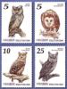 2013 Owl Bird Cat Head Hawk Nocturnal Prey Stamp Taiwan MNH - Collections, Lots & Series