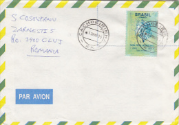 BRASILIAN PAINTING, STAMP ON AIRMAIL COVER, 1995, BRASIL - Brieven En Documenten