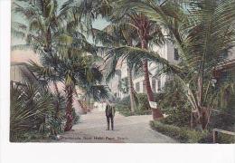 Florida Palm Beach Promenade In Front Of Hotel Palm Beach - Palm Beach