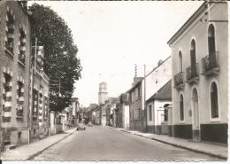 Cpsm, Blain (L.-Atl.), Rue Principale (voitures Anciennes) - Blain