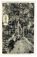 "Onkerzele - Arbre Des Apparitions / Boom Der Verschijning" - Geraardsbergen