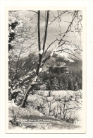 Cp, 74, Assy-Passy, Le Sancellemoz En Hiver, écrite 1951 - Passy