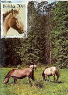 Poland Polska 1989 Fauna Horse Horses, Canceled In Warszawa - Cartes Maximum