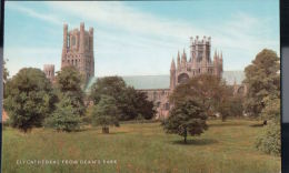 Ely - Cathedral From Dean's Park - Ely